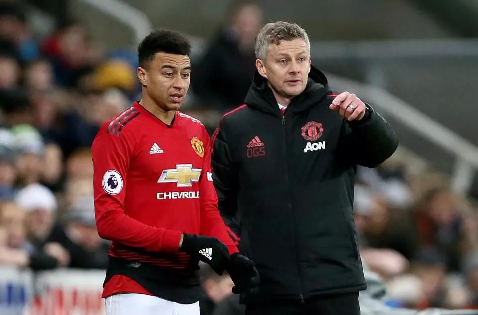 放大效果 放大效果